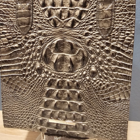 Brahmin Moira Hunter NWT - Picture 13 of 16